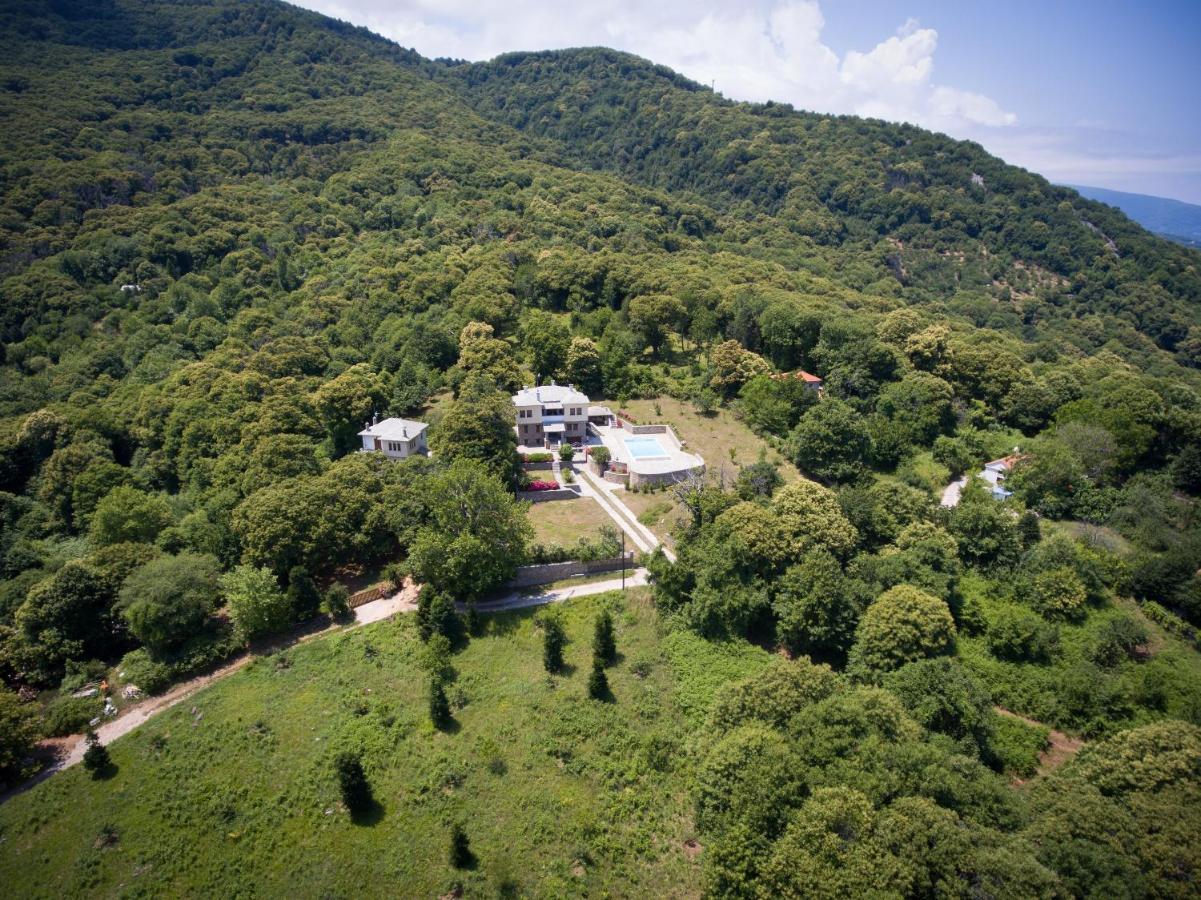 Luxury Villa With Pool In Цагарада Экстерьер фото
